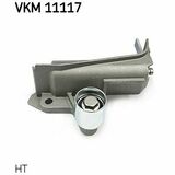 VKM 11117