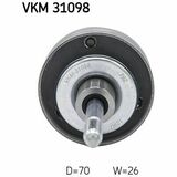 VKM 31098