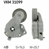 VKM 31099