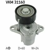 VKM 31160