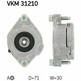 VKM 31210