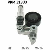 VKM 31300