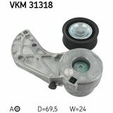 VKM 31318