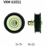 VKM 61011
