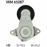 VKM 61087