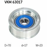 VKM 63017