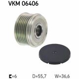 VKM 06406