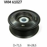 VKM 61027