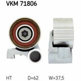 VKM 71806