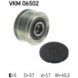 VKM 06502