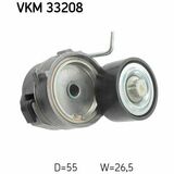 VKM 33208