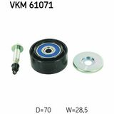 VKM 61071