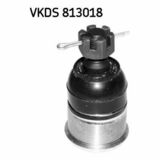 VKDS 813018