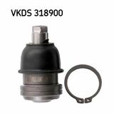 VKDS 318900