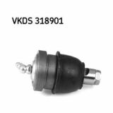 VKDS 318901
