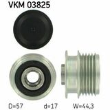 VKM 03825