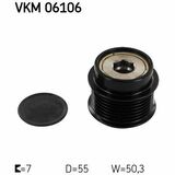 VKM 06106