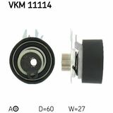 VKM 11114