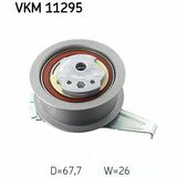 VKM 11295