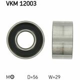 VKM 12003