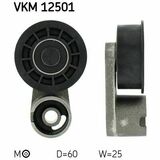 VKM 12501