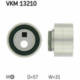 VKM 13210