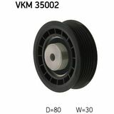 VKM 35002