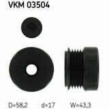VKM 03504