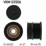 VKM 03506