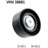 VKM 38881
