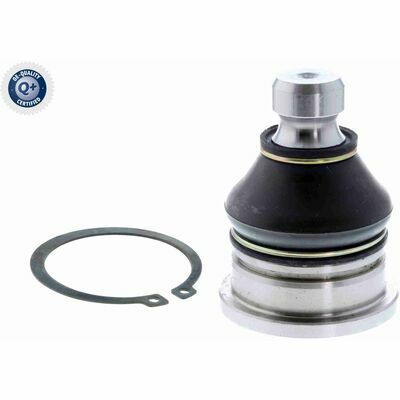 Q+, calidad de primer equipo