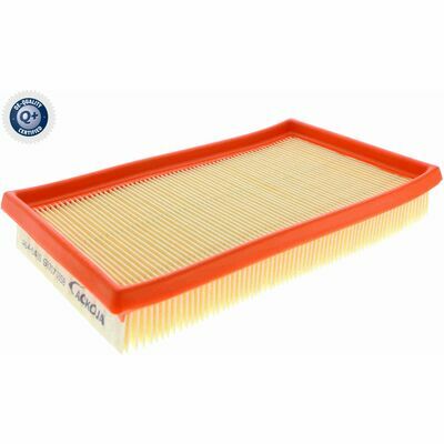 Q+, calidad de primer equipo