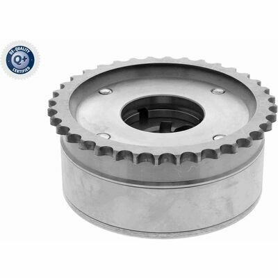 Q+,  Première Monte