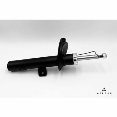 AMT00310