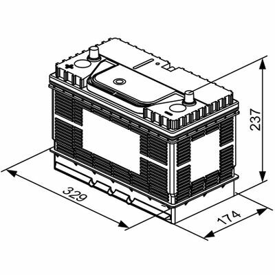 T3