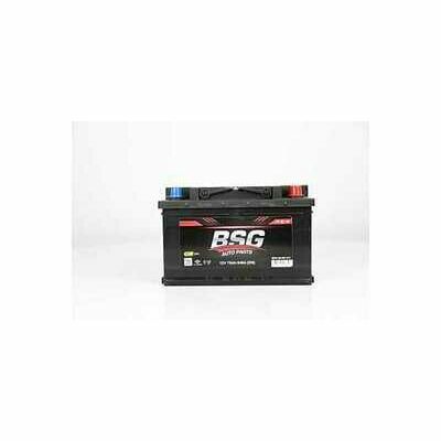 BSG 99-997-011