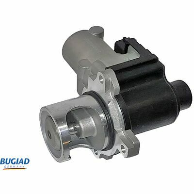 BGR13025