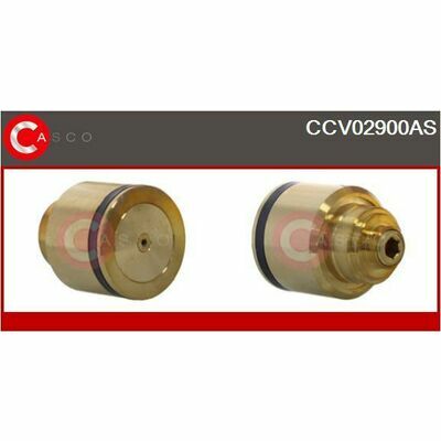 CCV02900AS