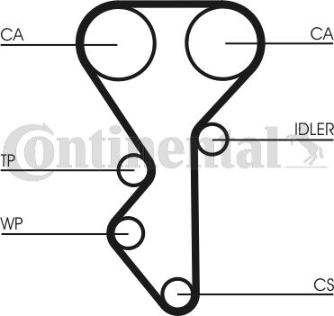 CT955WP1