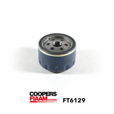 FT6129