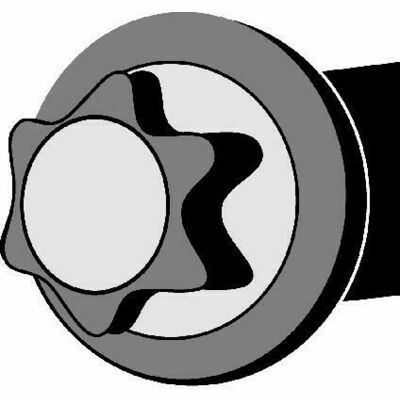 49363003