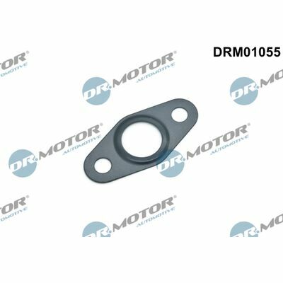 DRM01055