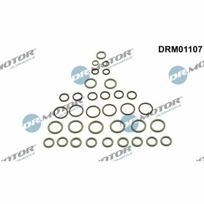 DRM01107
