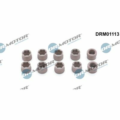 DRM01113