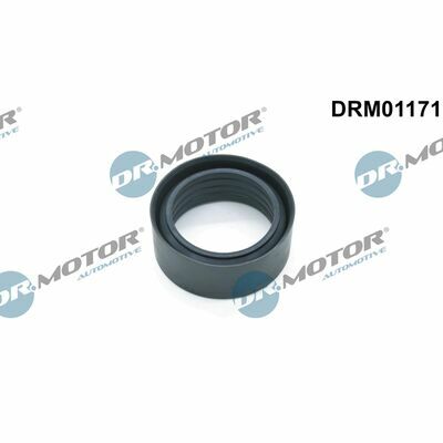 DRM01171