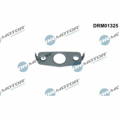 DRM01325