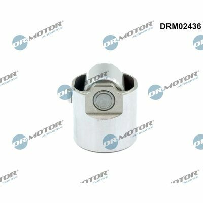 DRM02436