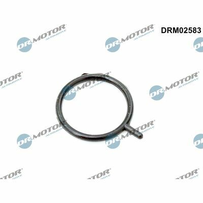 DRM02583