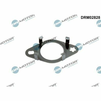 DRM02828