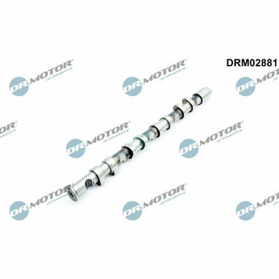 DRM02881